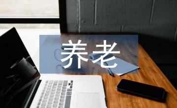 養老保險基金論文