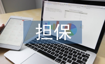 小微企業(yè)融資擔保創(chuàng)新及風險防控探究