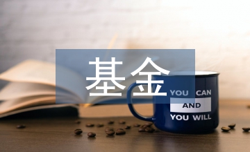 養老保險個人賬戶基金運營及監管