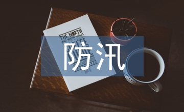 抗疫防汛工作總結