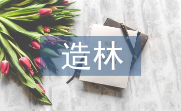 地區混交林造林技術分析