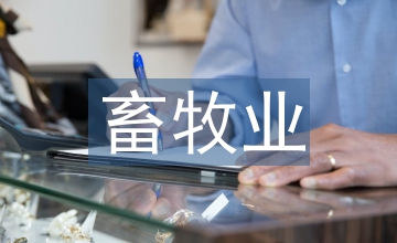 畜牧業發展規劃
