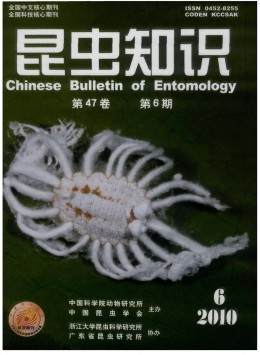 昆蟲(chóng)知識(shí)